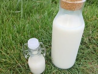 2024 hoevepicknickmelk