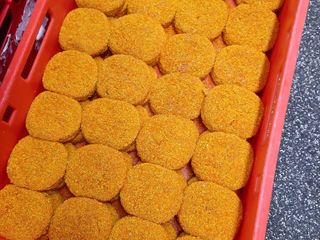 2024 pizzaburgers