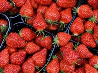 Aardbeien