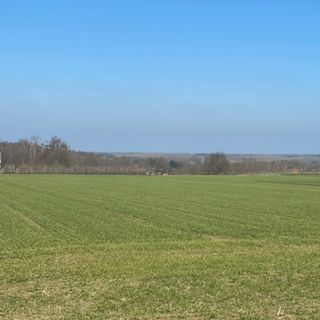 Image20
