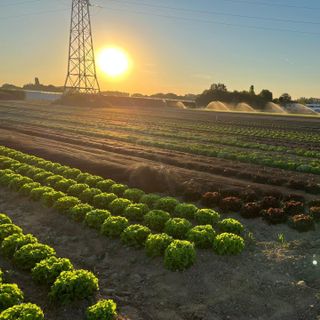 298120822 1077828313165402 4412653801938691404 n