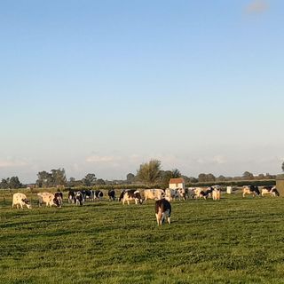 20210827 200213 2022 12 09 101529 qjvn