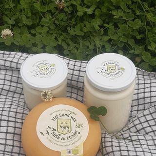 kaas en yoghurt in klavers164830