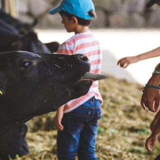 Pexels susanne jutzeler 1430640