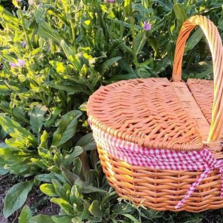 Picknickmand2 2