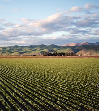 Pexels tim mossholder 974314