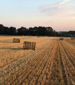 110179097 743107349798796 5680269408592994312 n