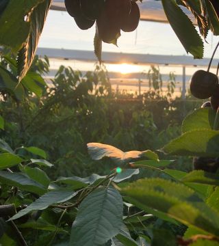 Whats App Image 2021 08 05 at 07 23 45