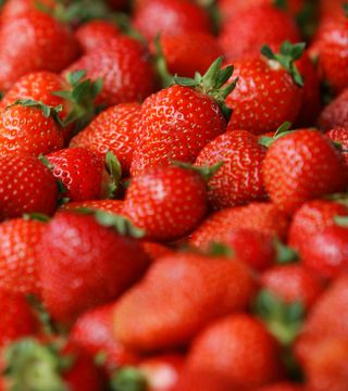 Dreamstimemaximum 54345944