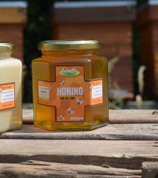 Honing2soorten Lem BI