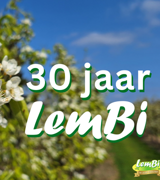 Lem Bis Lente Bloesemdag Affiche 3