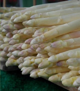 Asperges