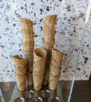 PXL 20240410 080849193