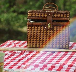 Picnic olerjmwjduq7drkbo4vly27z8yohi17y46jc11rnco