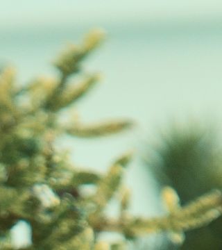 Main header ringen3