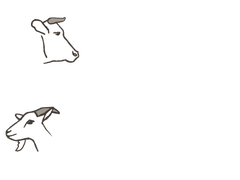 De Speiboerderij