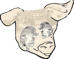 Heereveld Hoevevlees