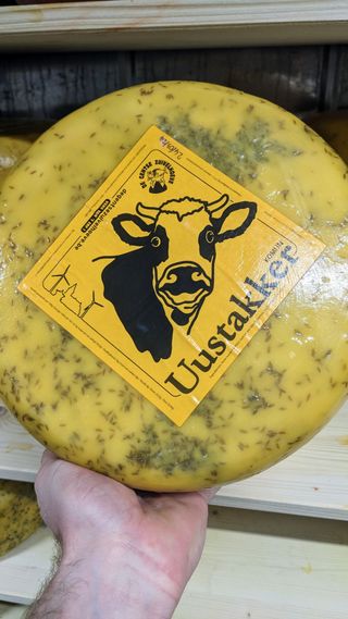 PXL 20230519 0808339322