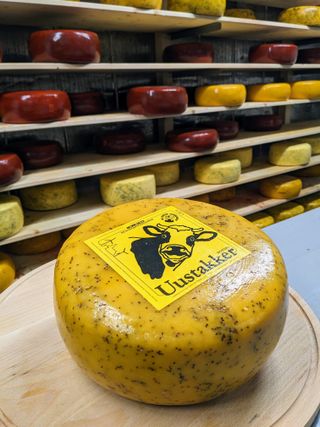 PXL 20231206 1000483572 1