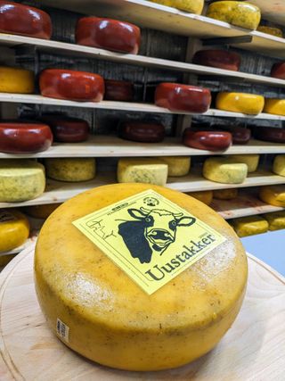 PXL 20231206 1002029502