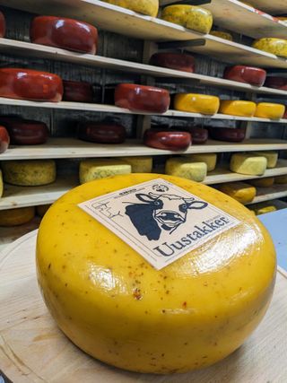 PXL 20231206 1004301802