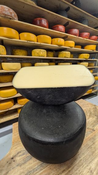 PXL 20250625 104411077