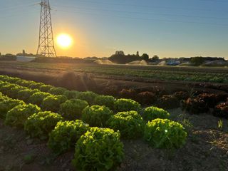 298578345 801158174390076 2527124166035984757 n