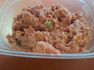 IMG 20250108 Preparé