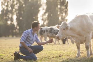 Mpv Vleesvee Mahoney 166