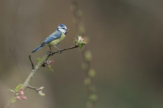 Hans veth hb1jb DZ7 Yj Y unsplash