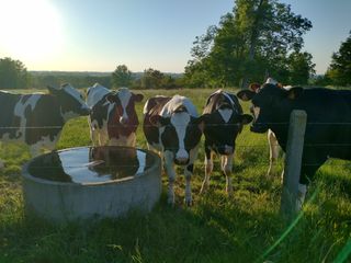 IMG 20210601 203403767 HDR