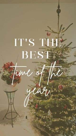 471171157 903294078586258 2210277536730931179 n