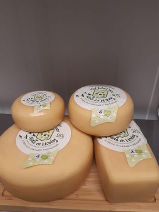 20230307jonge kaas 093440
