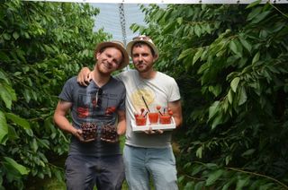 36905987 1409626842471514 7671653258217127936 o