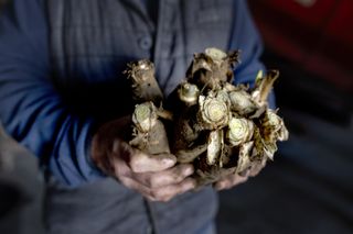 Hoeve Mahieu Nov 2023 58