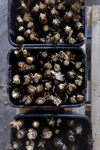 Hoeve Mahieu Nov 2023 63