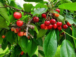 C3b34883 b1ef 47f1 be9e 7b791f9ea6bf