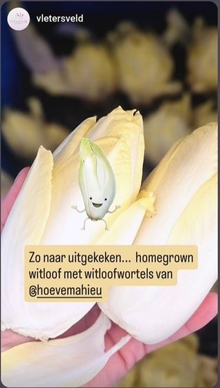 Eigen kweek vletersveld