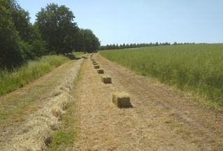 IMG 20210614 1617330366