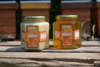 Honing2soorten Lem BI