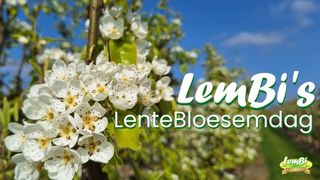 Lem Bis Lente Bloesemdag Affiche