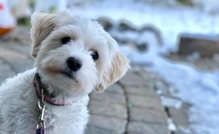 Pikwizard 46dc4697efc664d282831d370b023c9c