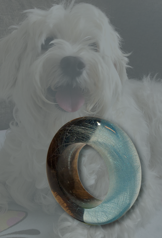 Doggyring FB1