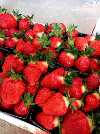 Aardbei