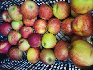 Appel