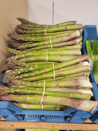 Gr asperges