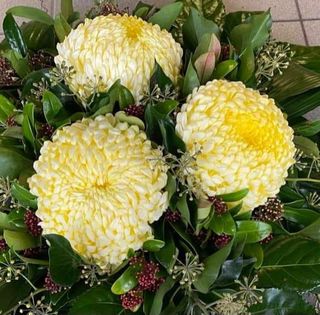 45918454 0056 4f34 9e01 97851f230714