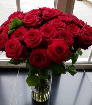 rode rozen