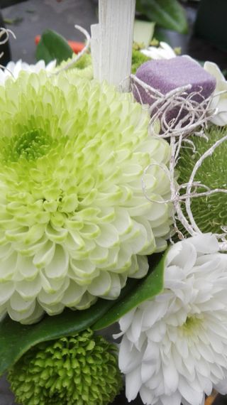 5c50c1e3 6051 432d bb03 12fac5de0cf5