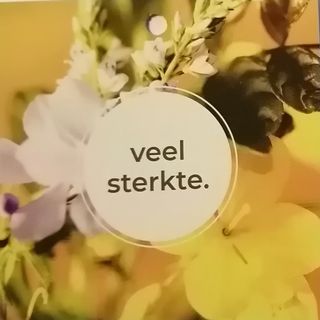 IMG 20230218 172805 kopie
